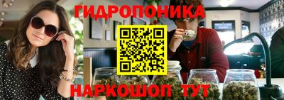 мет Можга