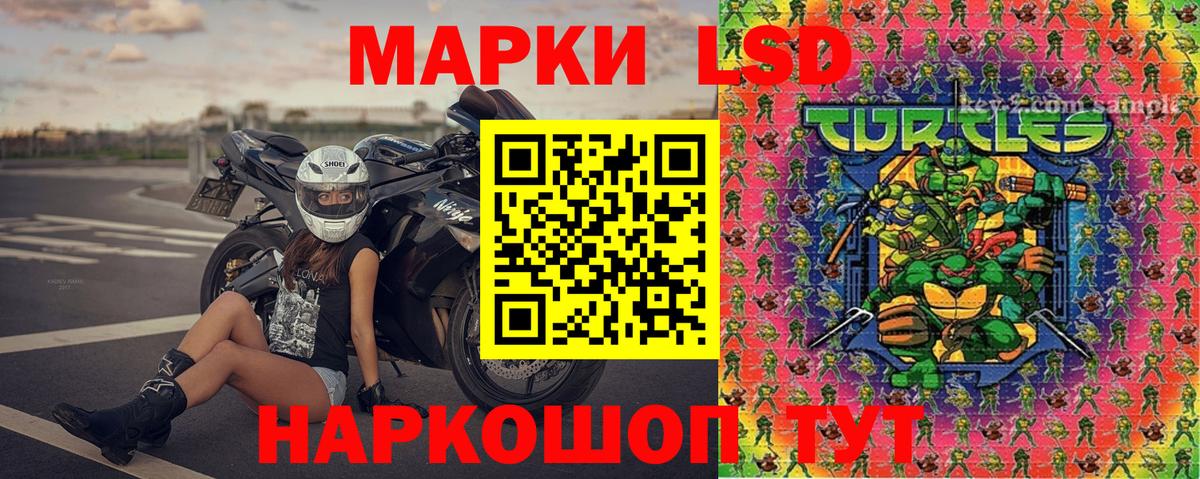Марки N-bome 1,5мг  Вход с VPN  Шадринск  Марки N-bome  где продают наркотики  Марки N-bome 1,5мг 