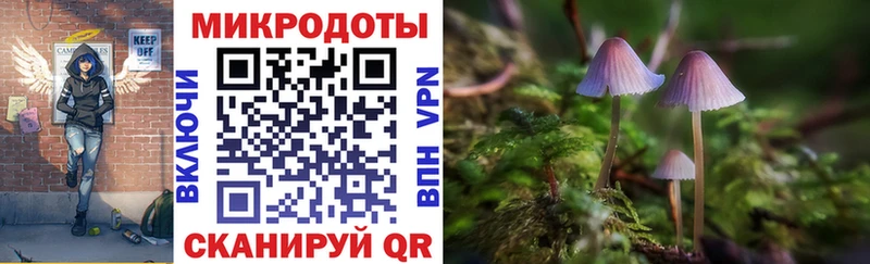 наркошоп  Шадринск  Галлюциногенные грибы Magic Shrooms 