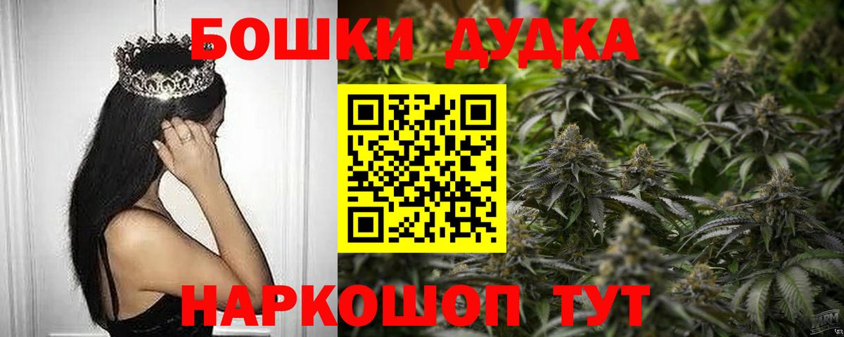 Бошки Шишки планчик Шадринск